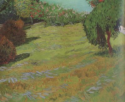 Vincent Van Gogh Sunny Lawn in a Public Pack (nn04) Sweden oil painting art